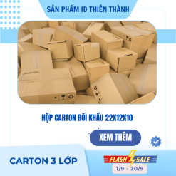 Hộp carton kích thước 25x10x10 ( Có sẵn )