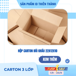 Hộp carton đối khẩu 22x12x10